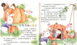 吃瓜每日大赛 瓜瓜吃瓜故事,一场全民参与的吃瓜盛宴