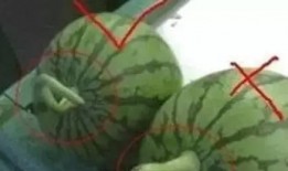 吃瓜黑料精品一区 体育圈的瓜是什么意思,一区吃瓜黑料背后的真相与争议