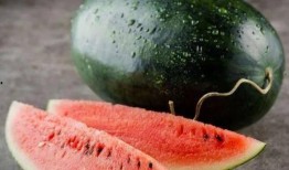 吃瓜黑料精品一区 体育圈的瓜是什么意思,一区吃瓜黑料背后的真相与争议