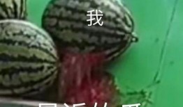 吃瓜黑料精品一区 体育圈的瓜是什么意思,一区吃瓜黑料背后的真相与争议